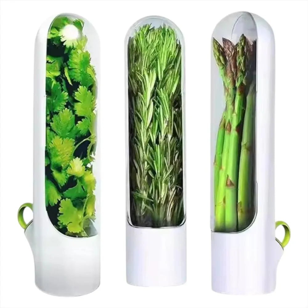 Conservador de Hierbas y Vegetales